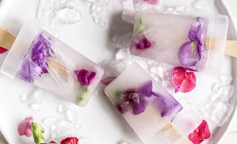 Summer Popsicles Headerbild