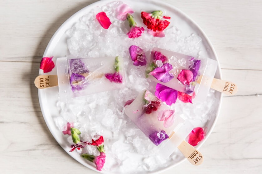 Popsicles Bild 2 Großansicht